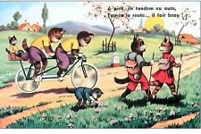 CHATS.n°2196.A PIED EN TANDEM OU AUTO,PRENEZ LA ROUTE...IL FAIT BEAU.SCENE DE