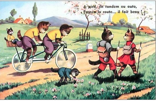 Chats 2196 pied en - chats.n°2196.a,