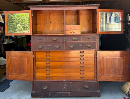Antique burl walnut - antique,