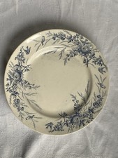Coupe fruits linottes creil - fruits,