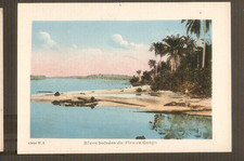 CONGO BELGE  cpa  Rives boisées du Fleuve Congo/ cliché W.K./colorisée
