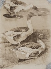 Mathurin MEHEUT : L'Oie