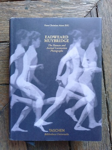 Eadweard muybridge human and - eadweard, muybridge-human