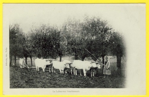Cpa auvergne laboureur - cpa, le