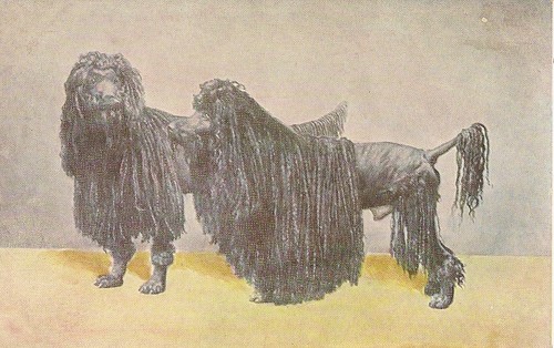 Carte postale postcard - carte,
