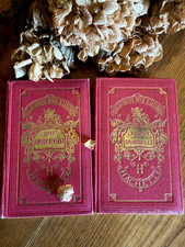 Edition 1930 bibliothèque rose illustrée La soeur gribouille/Quel amour d'enfant