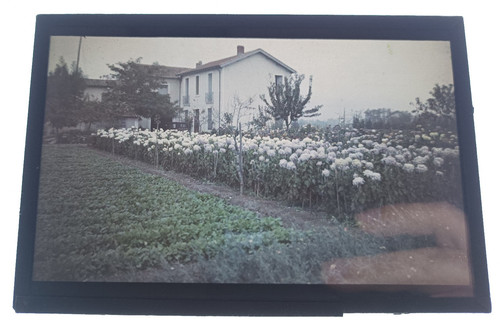 Ancienne autochrome beziers - ancienne,