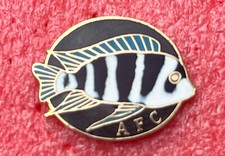 T23 Pins POISSON le FRONTOSA CICHLID le Bossu du Tanga Fish Badge Lapel Pin