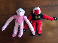 Chicago Blackhawks & Bulls