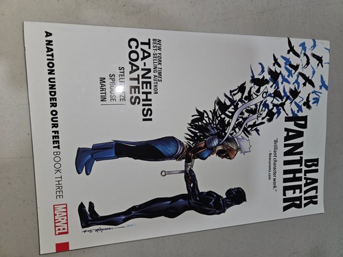 Black panther nation under - black, a