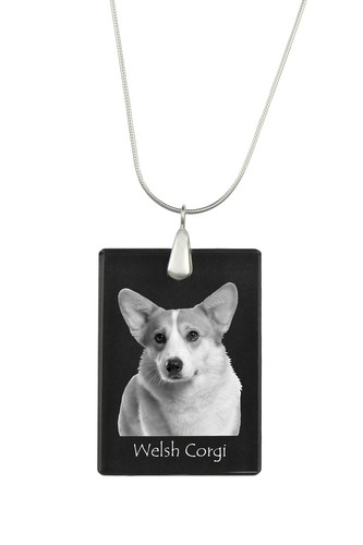 Pembroke welsh corgi - pembroke,