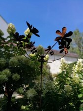 Rouille noble éolienne