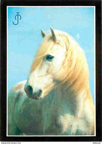 Carte postale animaux - postale,