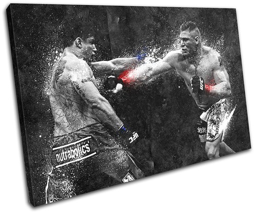 Brock lesnar ufc - brock,