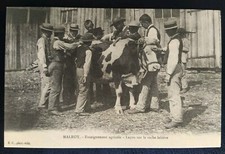 Carte postale Malroy