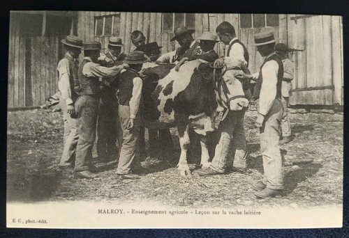 Carte postale malroy - carte,