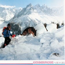 Affiche - GENDARMERIE