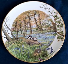 Superbes assiettes plates