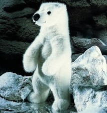 Ours polaire blanc udo - blanc, par