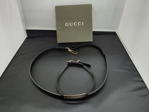 Ensemble collier pour - , chien