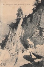 CP PYRENEES ARIEGEOISES CHASSE