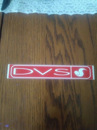 Dvs skateboarding shoes - skateboarding,