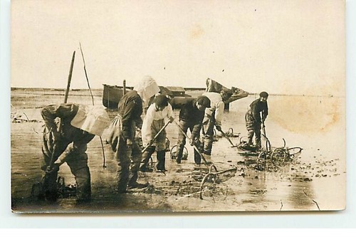 Carte photo ile oleron - carte,