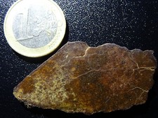 Météorite Tranche d'Astéroïde Chondrite NWA OC-H Qualité Joaillerie