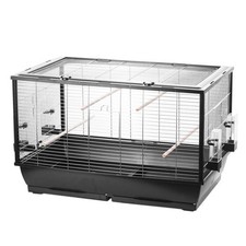 Cage oiseaux pour perruches - oiseaux,