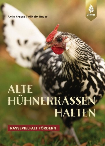 Anciennes races poules - anciennes,