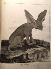 AFRIQUE 1787 COOK*EDITION