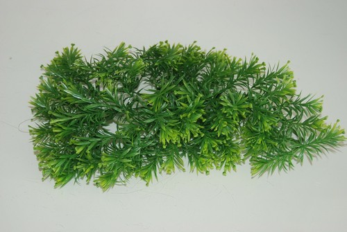 Vivarium réaliste plastique - vivarium,