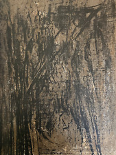 Maria Helena ViEiRA DA SiLVA 