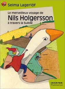 Merveilleux voyage nils - de,