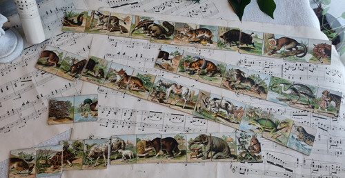 Ancien jeu carte domino - jeu,