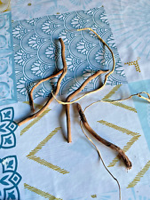 6 racines araignée 10/20cm