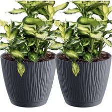 Pot fleurs de - pot,