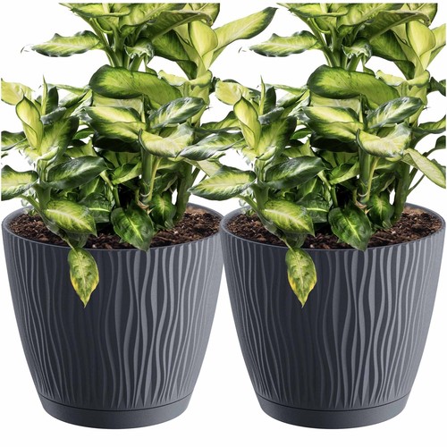 Pot fleurs - 2,