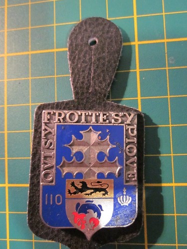 Insigne 110ème régiment - du,