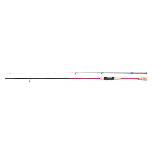 Canne pêche spinning - canne,