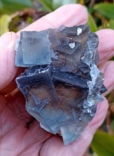 Cluster cubes fluorite - cubes, bleus