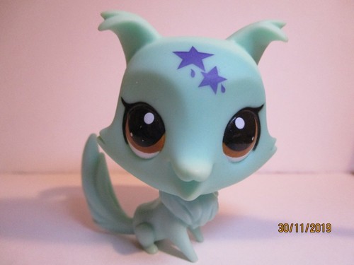 Petshop chien colley - petshop,
