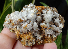 Aragonite & Calcite Gergovie