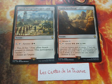 Cartes magic : 2 terrain