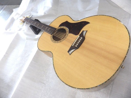Guitare électrique acoustique