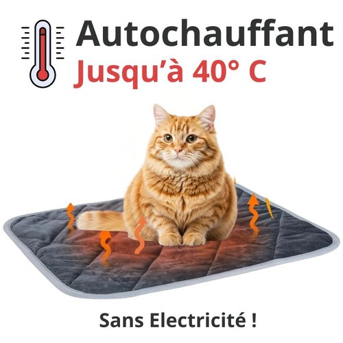 Tapis auto chauffant pour - tapis,