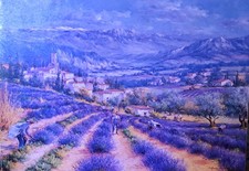 -:- CHAMPS DE LAVANDE EN