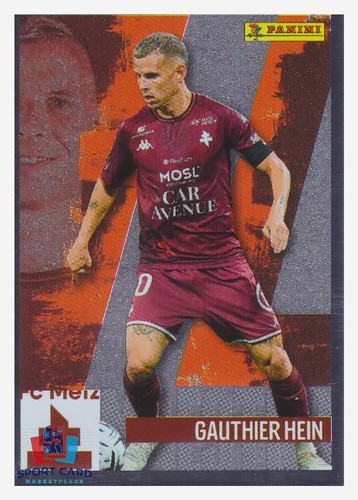 Panini foot 2026 metal - panini,