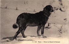CPA AK Barry-Chien du Grand