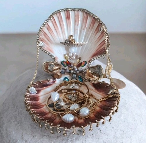 Porte bijoux coquillage - en,